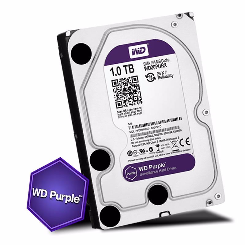 HD1TB PURPLE