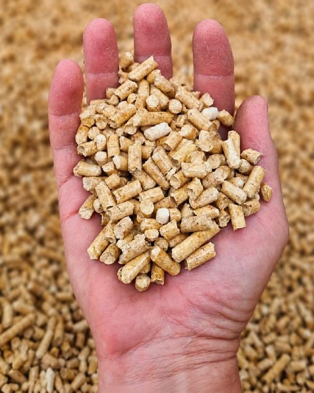 Pellets premium (Mayorista Pallets y tienda mínimo 10 bolsas)