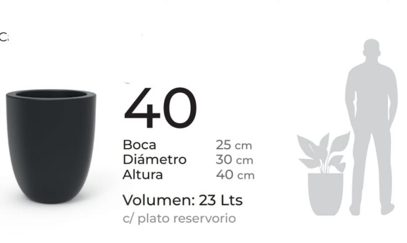 Salteña 40cm con plato