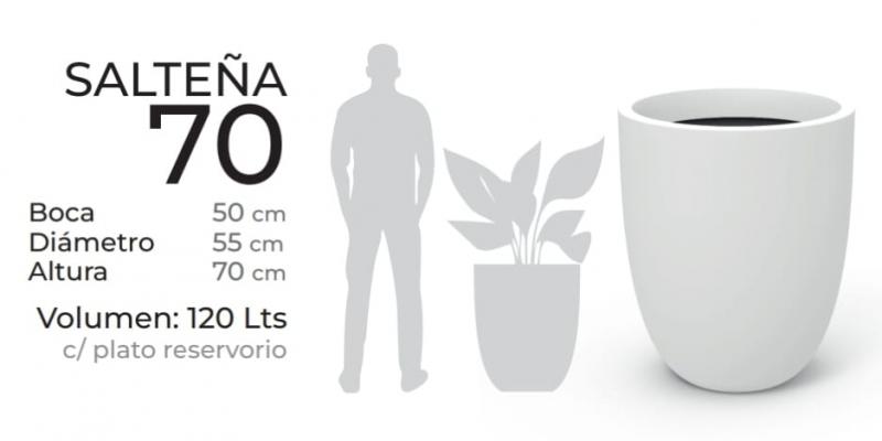 Salteña 70cm con plato