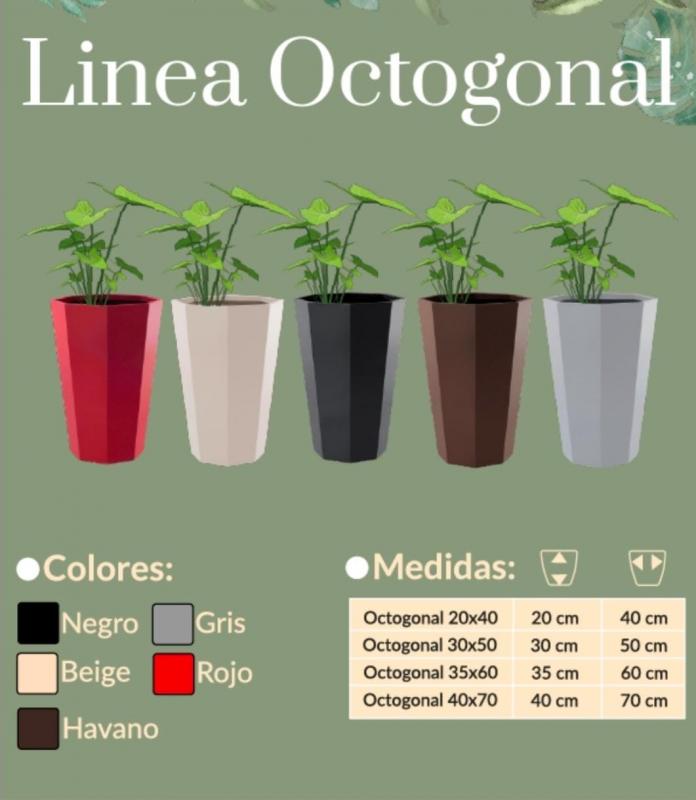 OCTOGONAL 30X50